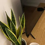 Place A Part Apartment